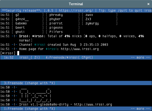 Irssi terminal interface