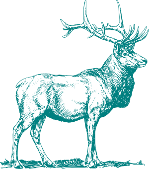 Tealdeer logo