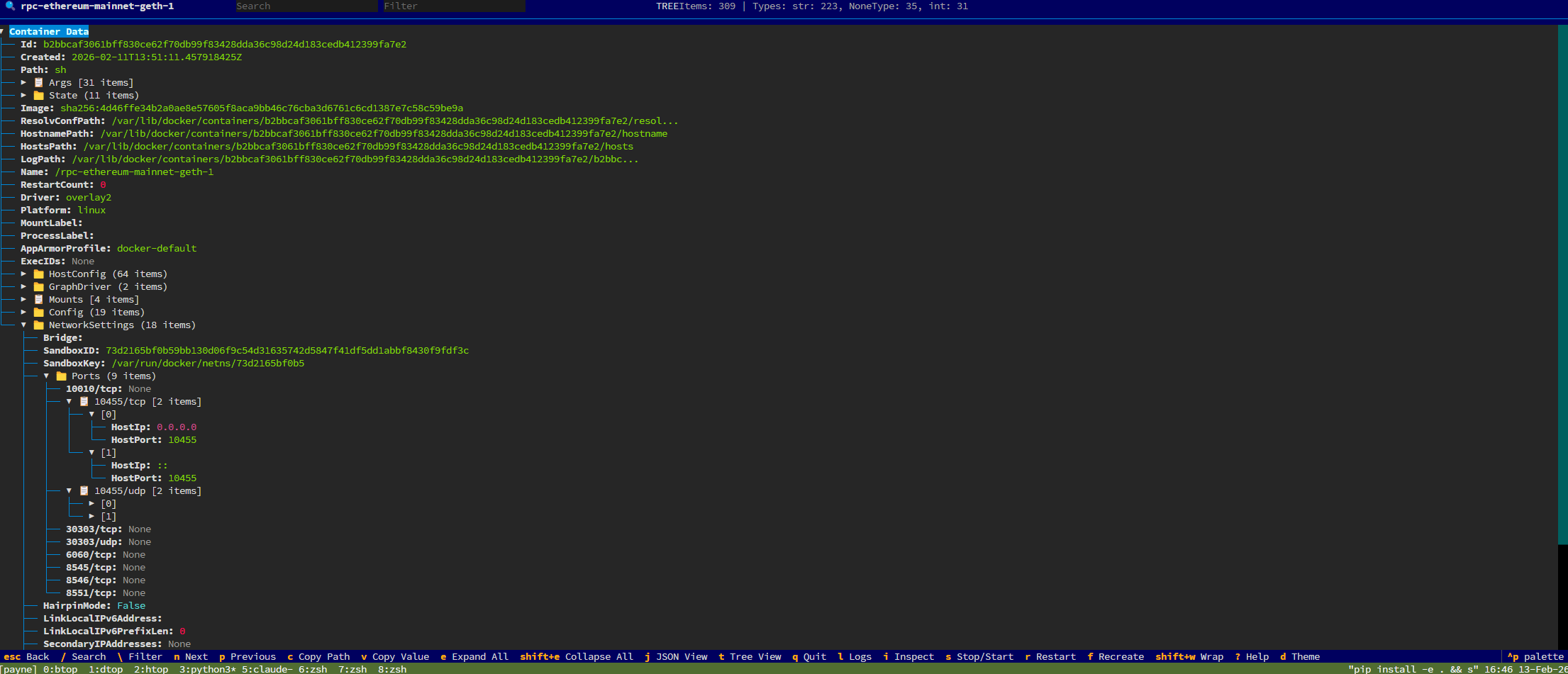 Container inspector view