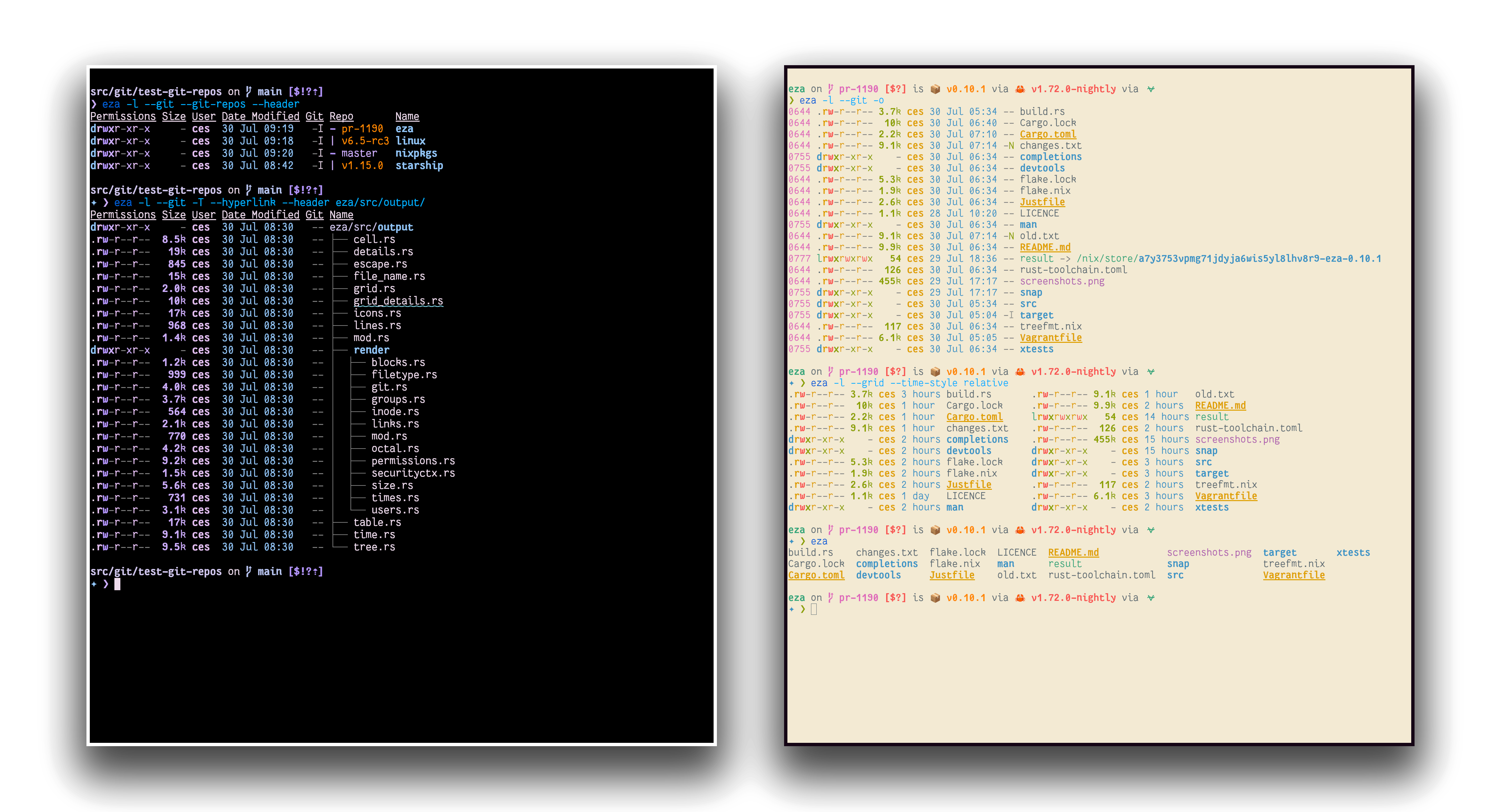eza demo showing colorized file listing