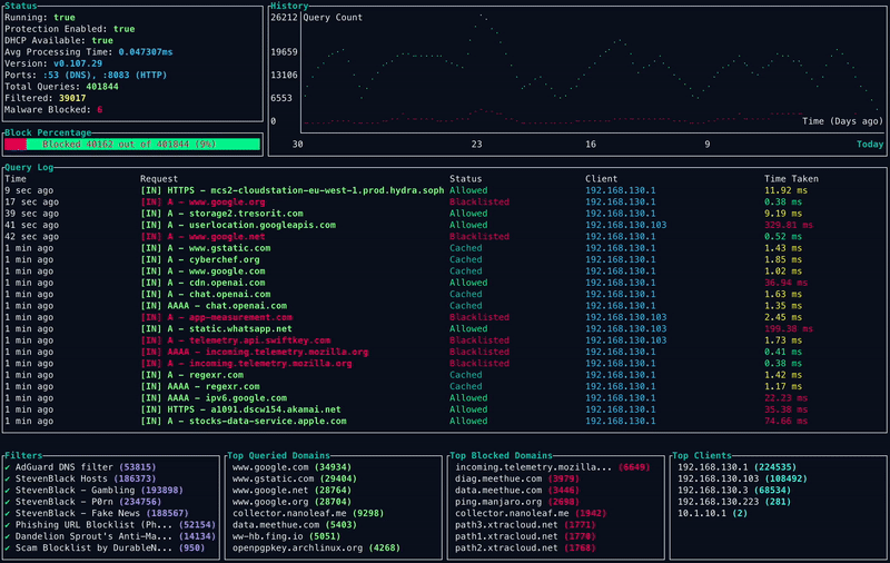 AdGuardian-Term terminal interface showing real-time DNS query monitoring