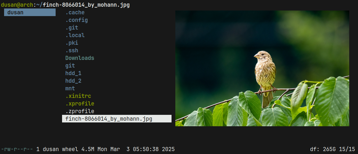 lf image preview functionality