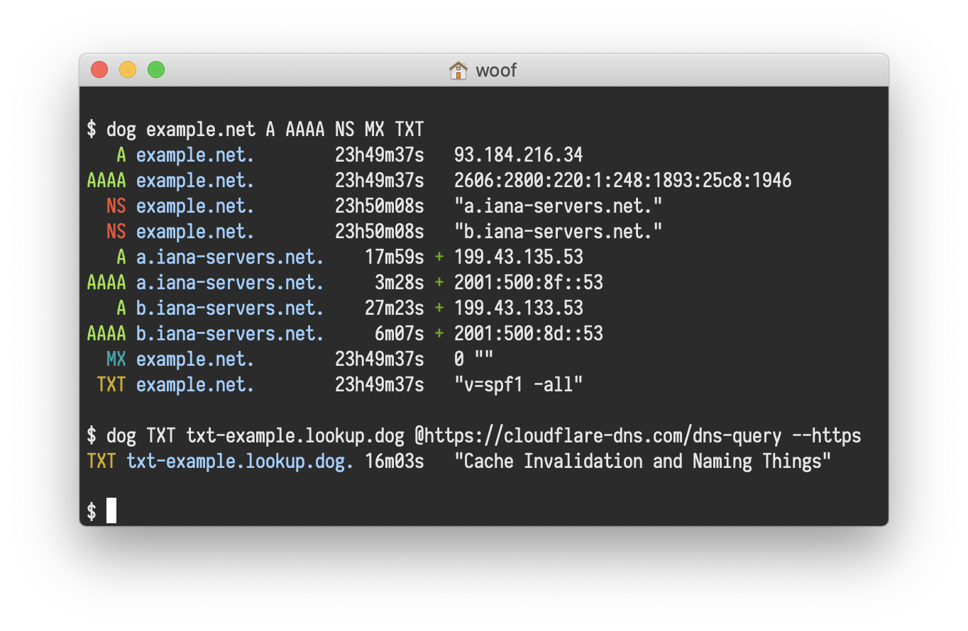 Screenshot of dog making a DNS request