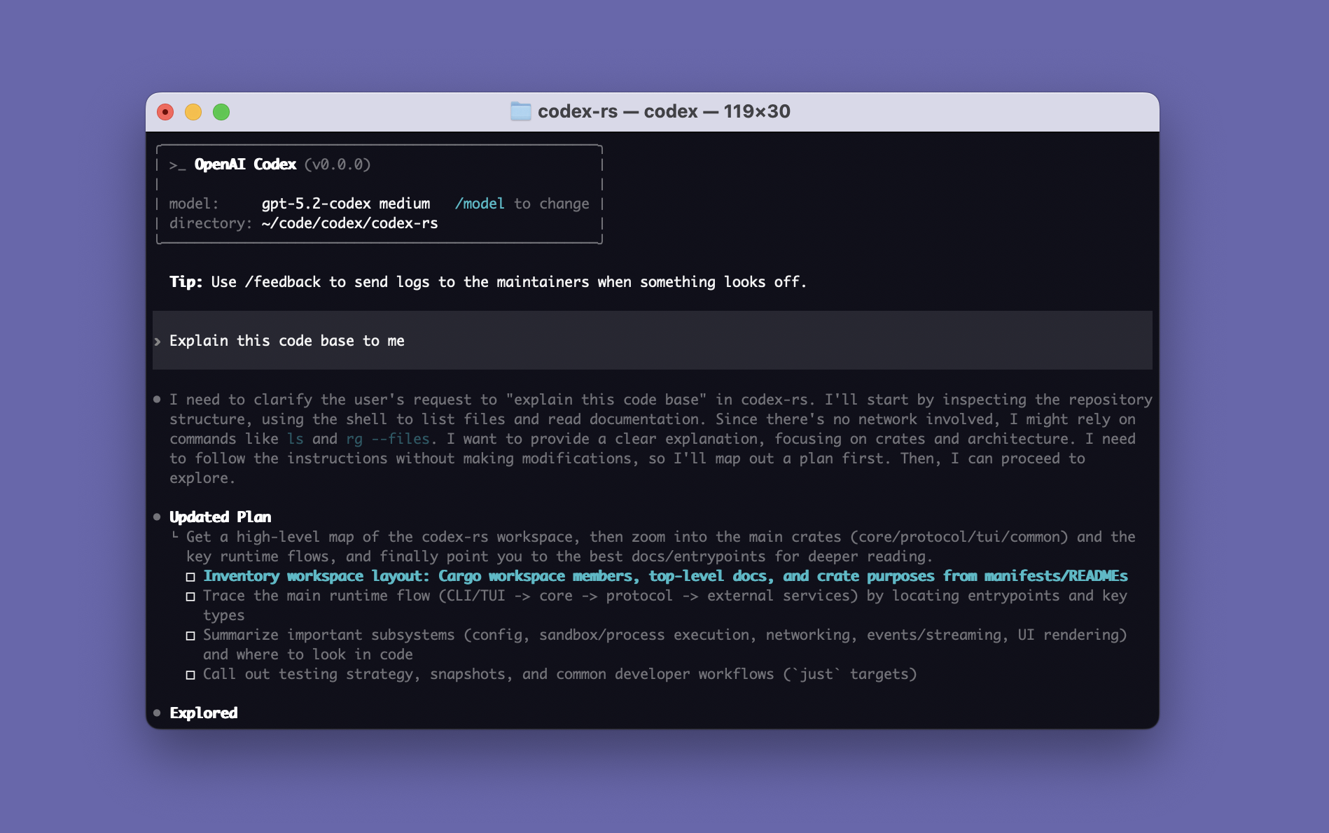 Codex CLI splash screen